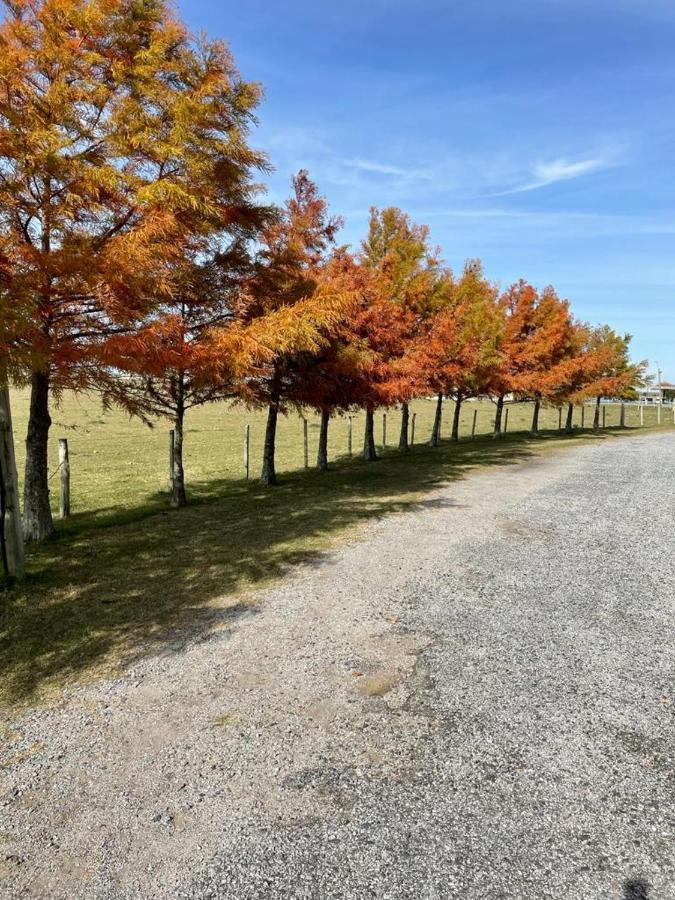 Complejo Turistico Flores 트리니다드 외부 사진