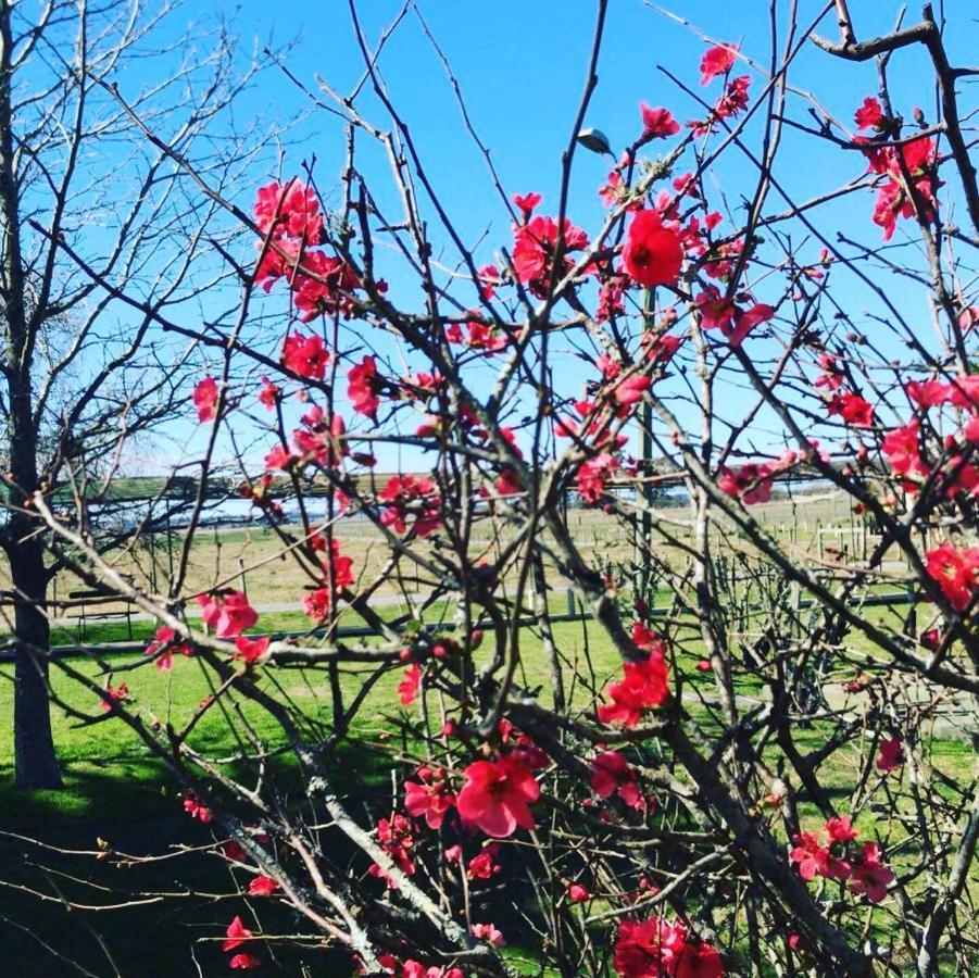 Complejo Turistico Flores 트리니다드 외부 사진